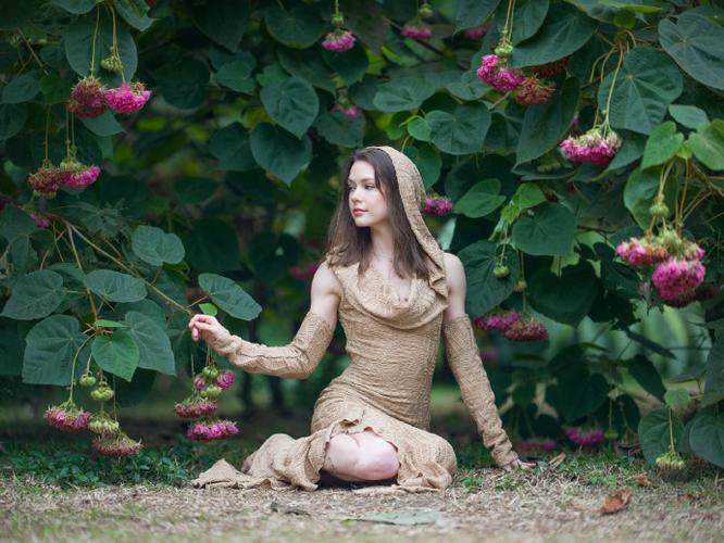 王者荣耀巅峰赛